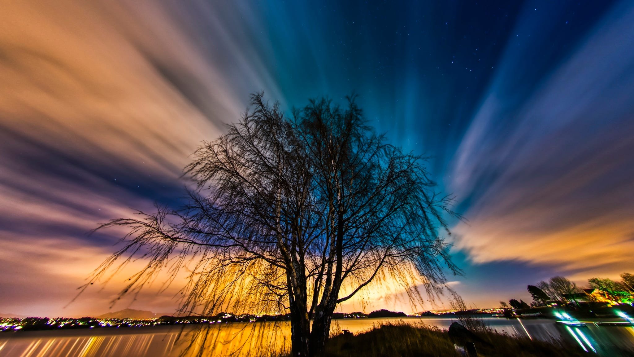 Three with streaming colorful clouds in the sky